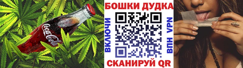 Canna-Cookies конопля  продажа наркотиков  Светлогорск 