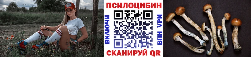 Псилоцибиновые грибы Magic Shrooms Светлогорск